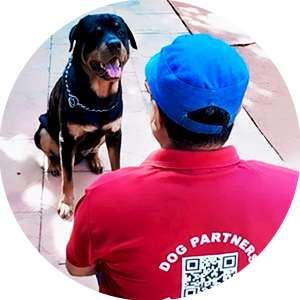 About dog partners