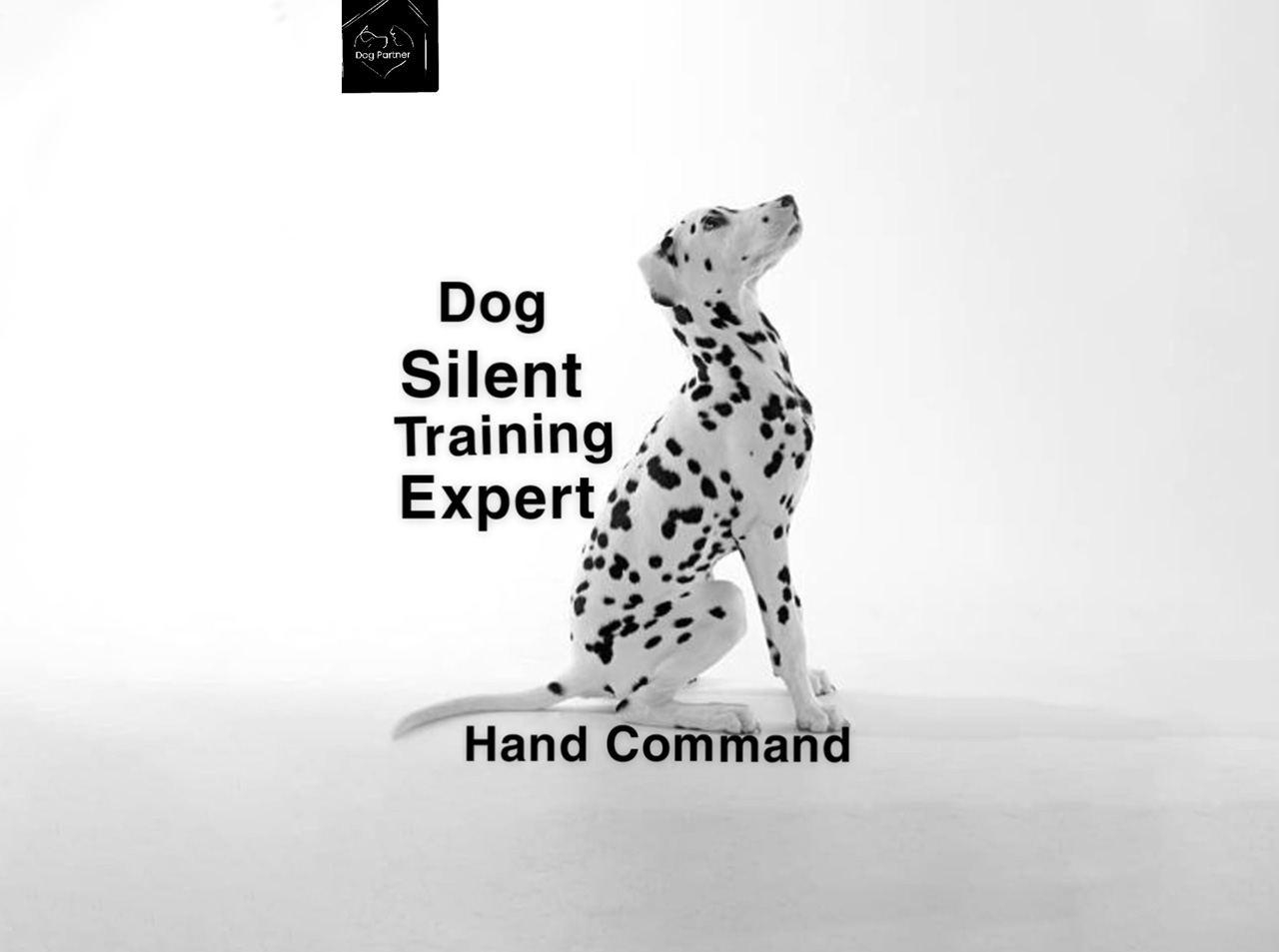 Dog Silent Training