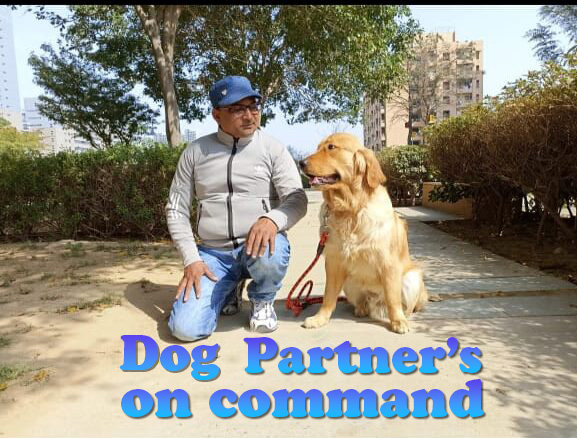 Professional Certified Dog Trainer at Home in Gurgaon & NCR